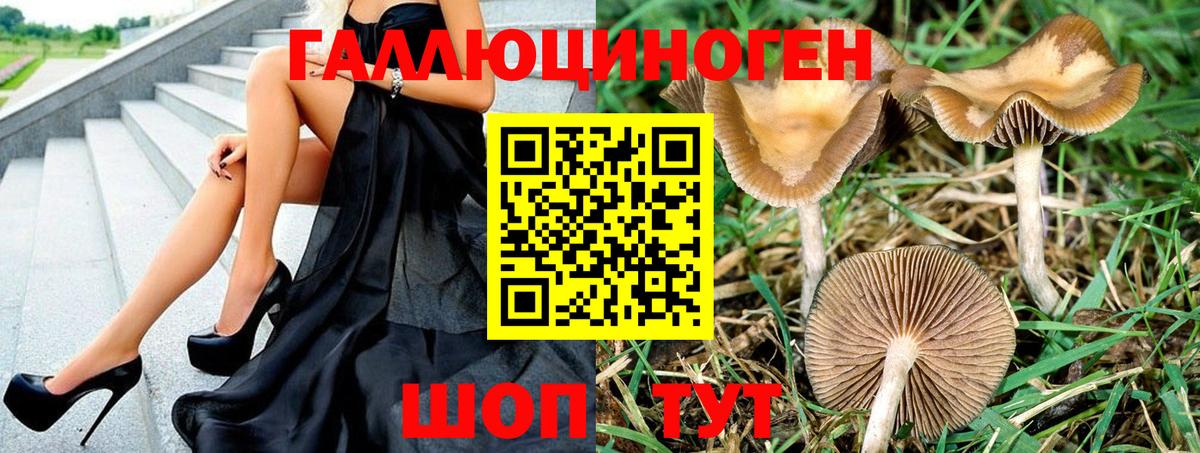 Галлюциногенные грибы GOLDEN TEACHER Зерноград